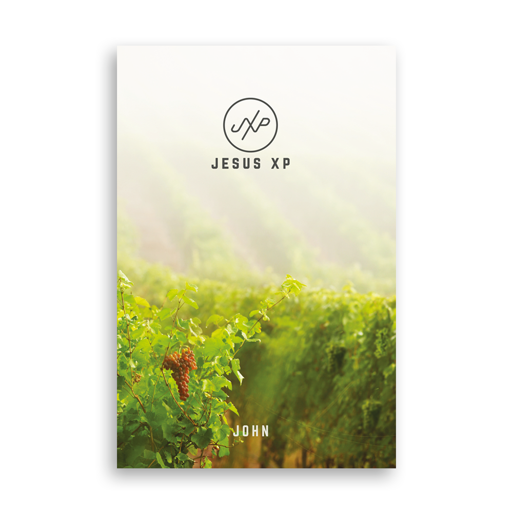 Xp Sign Jesus The Jesus XP | Spiritual Formation Framework